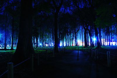 Trees on landscape against sky at night