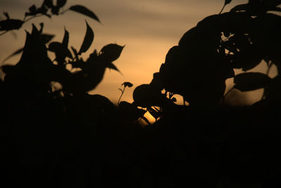 Silhouette of men against sky during sunset