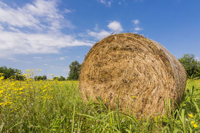 Hay bales on field against sky