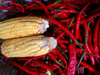 Red chili peppers and corns at market for sale