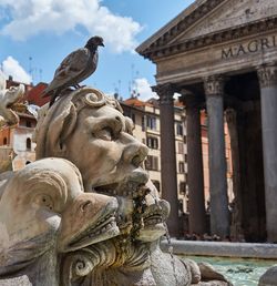 Low angle view of fountain statue in front of the pantheon in rome