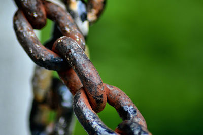 Close-up of rusty chain