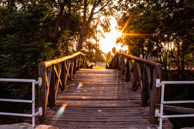 Wooden footbridge amidst trees in forest