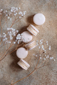 Close-up of macaroons and plant on floor