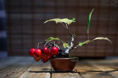 Close-up of cherries on table