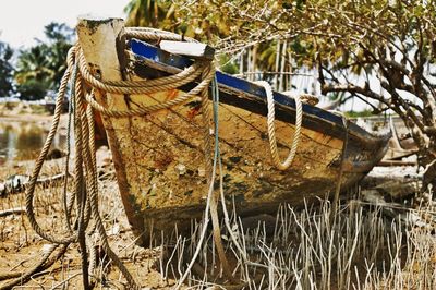 Old boat in water