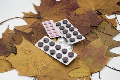 High angle view of autumn leaves on table