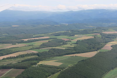 Aerial view of agricultural landscape