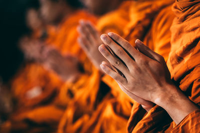 Close-up of hand holding leaf