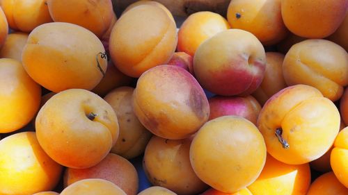 Full frame shot of apricots at market stall