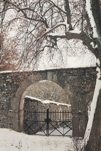 Shadow of bare tree on snow covered gate against building