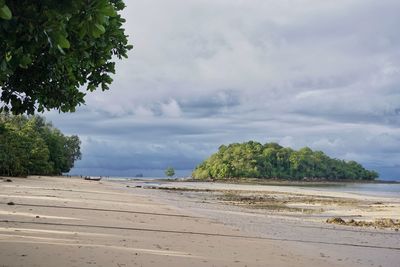 Scenic view of beach against sky