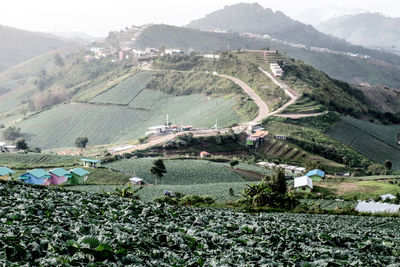 Agricultural field with mountain in background