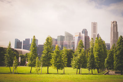 Trees and buildings in city against sky