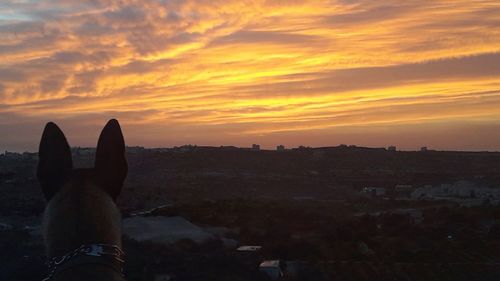 Low section of people relaxing at sunset