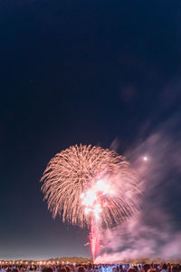 Low angle view of firework display at night