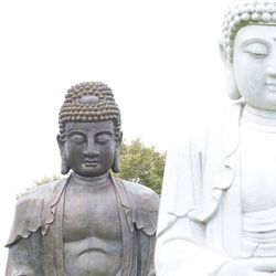 Statue of buddha