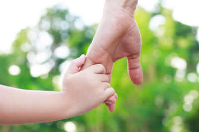 Children's hands with the warmth of mother's care