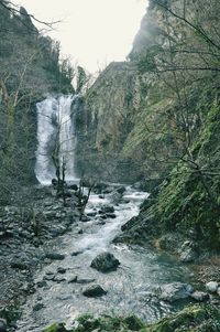 Scenic view of waterfall in forest