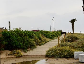 Rear view of people walking on footpath by road against sky