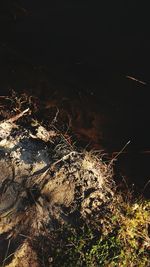 High angle view of bonfire on field at night