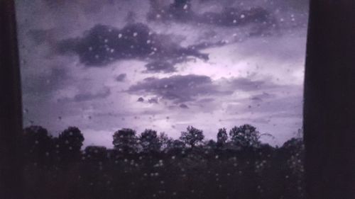 Silhouette trees against sky at dusk