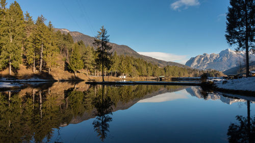Reflection of trees in lake