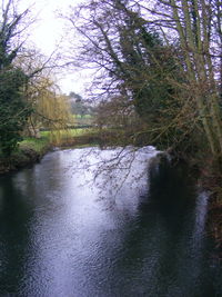 Reflection of trees in lake against sky