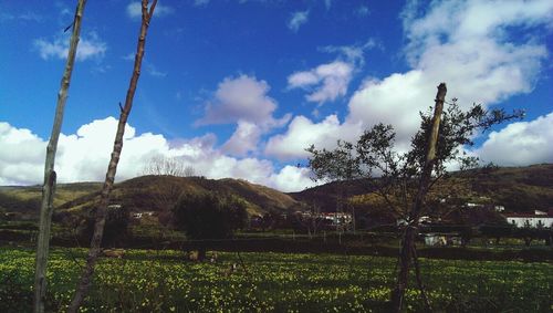 Scenic view of grassy field against cloudy sky