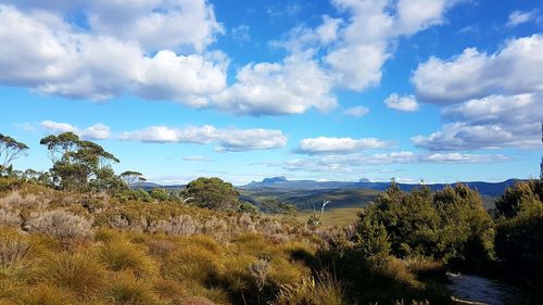 Scenic view of landscape against sky