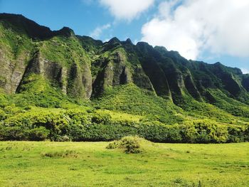 Scenic view of landscape against sky