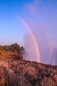 Scenic view of rainbow over field against sky