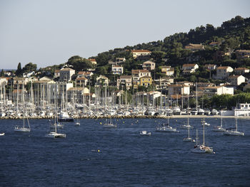 Sailboats in sea by townscape against clear sky