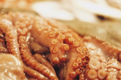 Full frame shot of octopus  tentacles