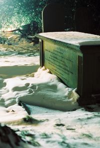 Close-up of ice cream in winter