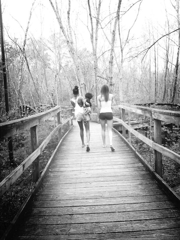 tree, full length, rear view, lifestyles, togetherness, leisure activity, railing, walking, bonding, love, the way forward, men, childhood, girls, person, footbridge, boys, casual clothing