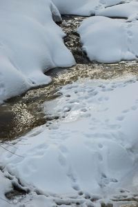 Close-up of snow on beach