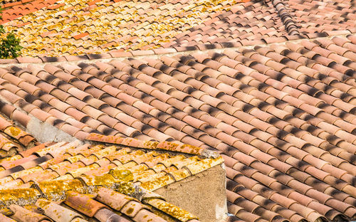 High angle view of cobblestone on street during autumn