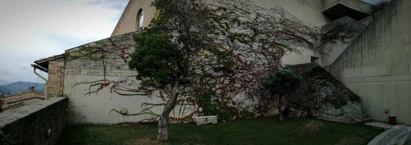 Plants by old building against sky