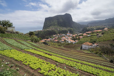 Scenic view of agricultural field against sky