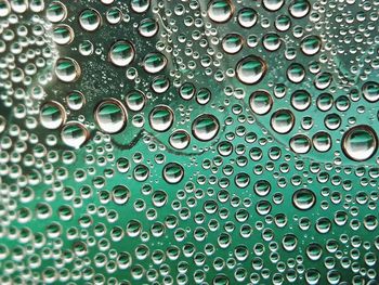 Full frame shot of water drops on leaf
