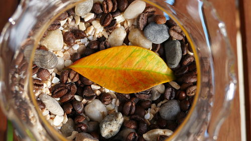 Close-up of dry leaf