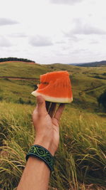 Cropped hand holding watermelon on landscape against cloudy sky