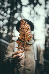 Close-up of woman hand holding tree during winter