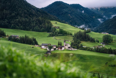 Scenic view of landscape against mountains