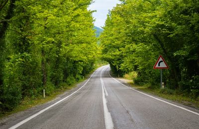 Road sign by trees