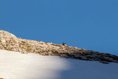 Man on rock by sea against clear blue sky