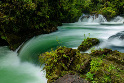 Scenic view of waterfall in forest