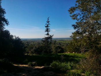 Scenic view of landscape against blue sky