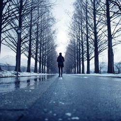 Man walking on road along bare trees